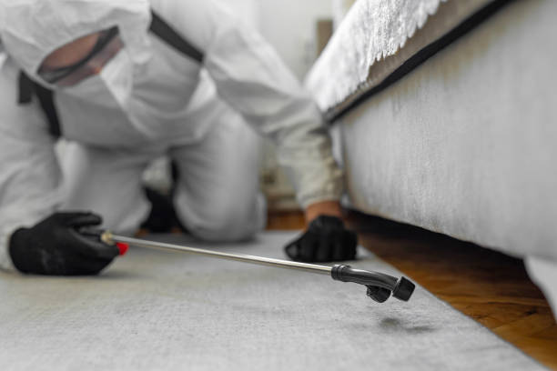 Professional Bed Bug Control technician working in McMinnville, TN